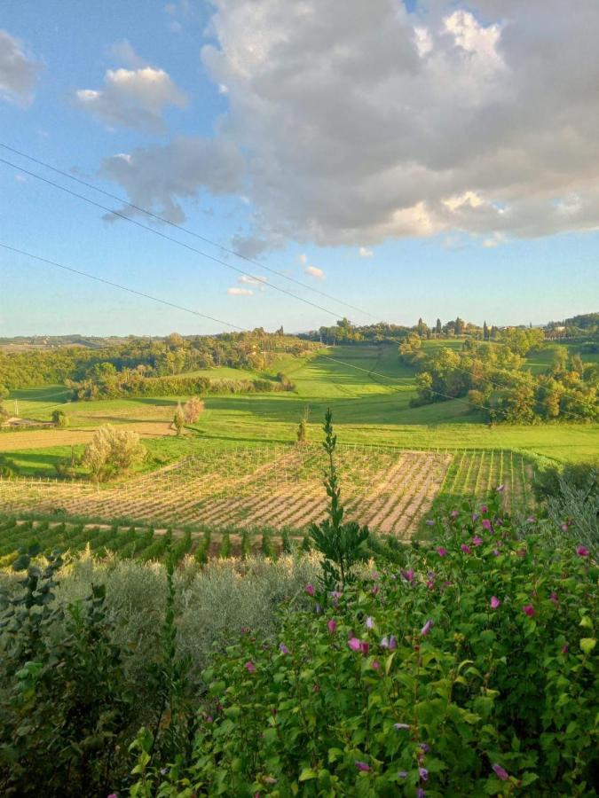 Agriturismo La Pineta Fucecchio Exterior photo